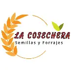 No se encontro la imagen..